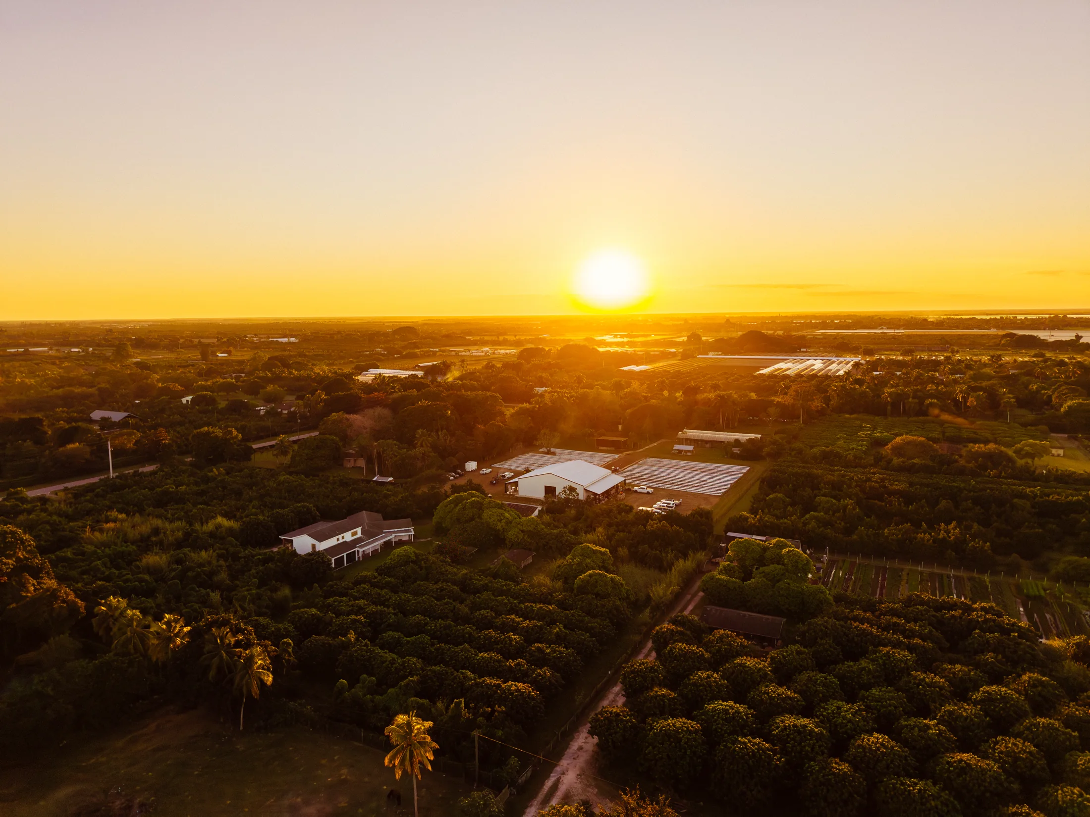 Fords Farm / Drone view of the farm at sunset