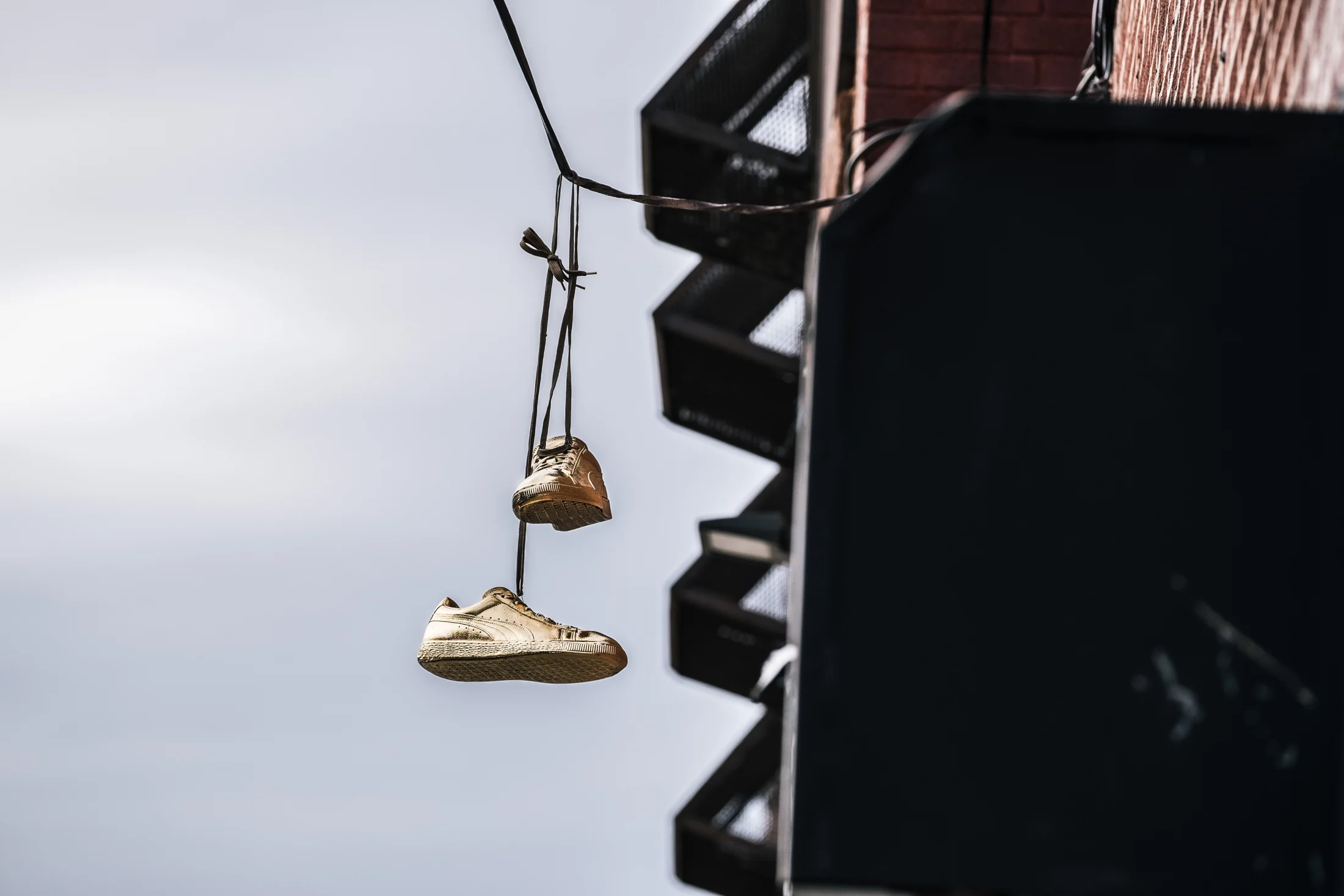 Gold PUMA Suede / New York