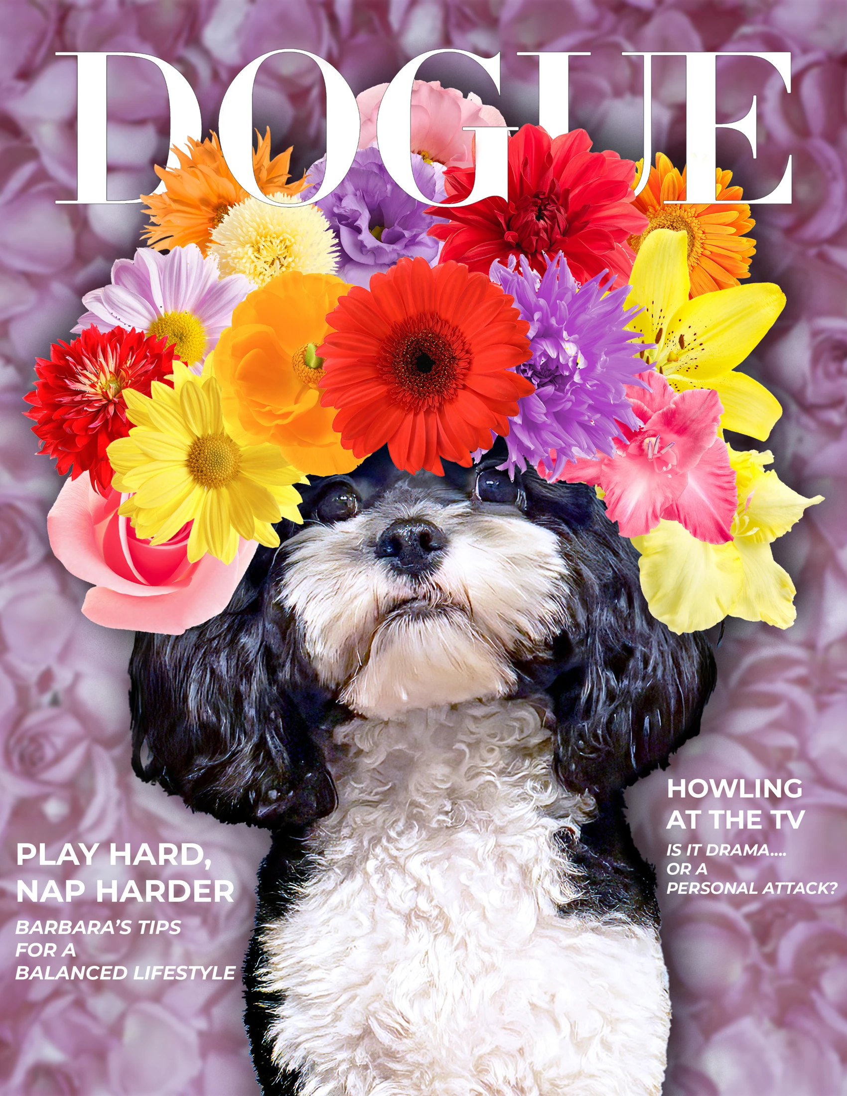 DOGUE / Magazine-cover exercise